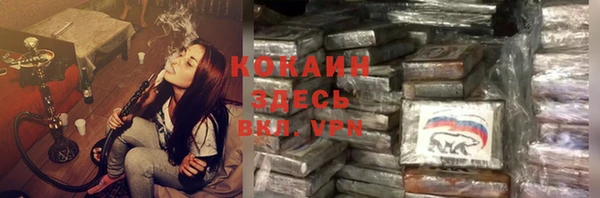 круглые Пересвет