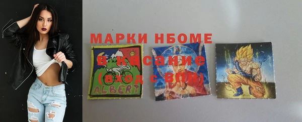 шишки Весьегонск