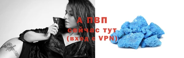 гидра Переславль-Залесский