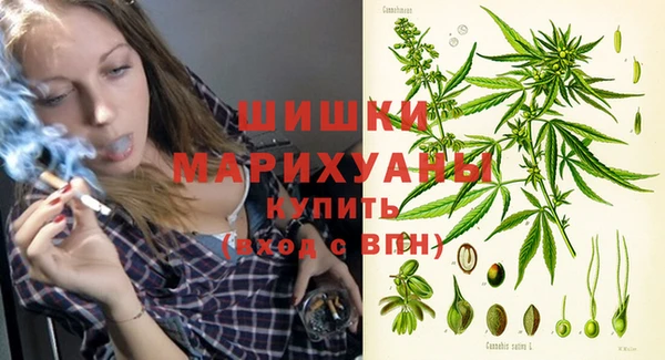 гашик Покров