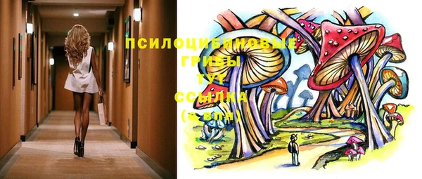 гашик Покров