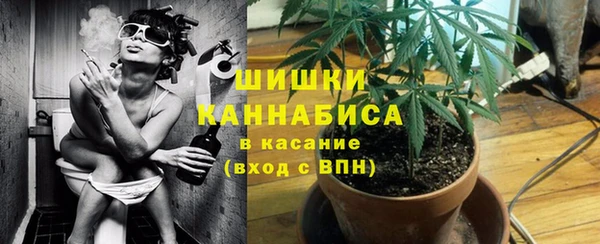стаф Ветлуга