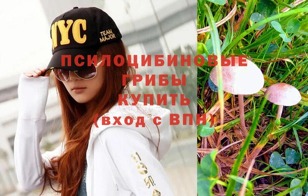 стаф Ветлуга